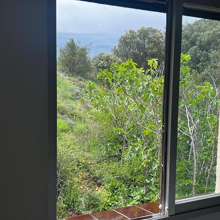 Apartaments La Pertusa 2O Corca  المظهر الخارجي الصورة