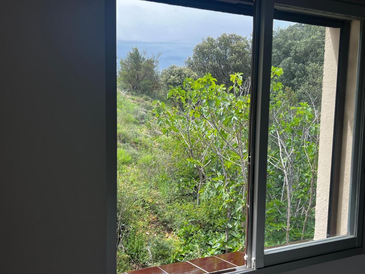 Apartaments La Pertusa 2O Corca  المظهر الخارجي الصورة